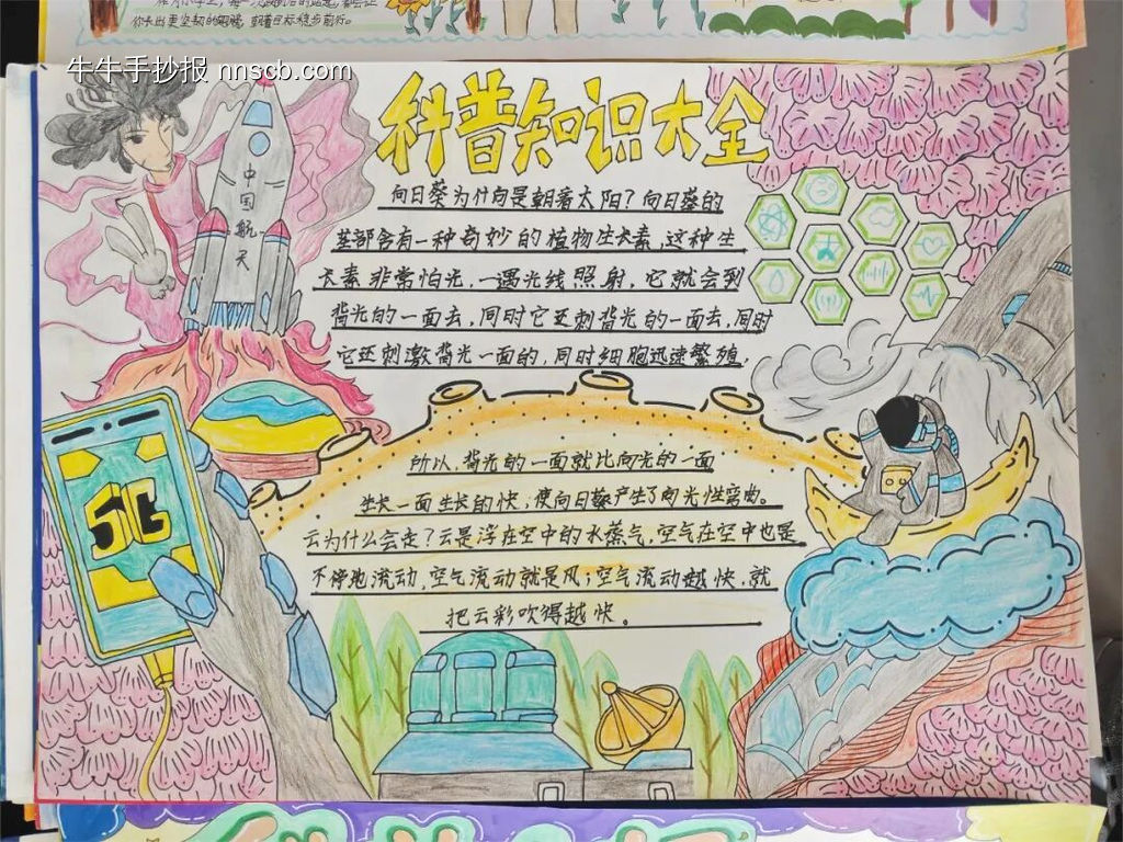 科普知识小报-第3张