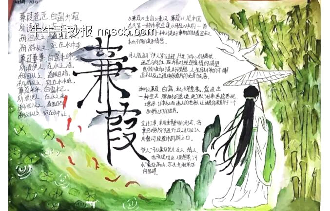 读书小报《蒹葭》主题手抄报-第2张