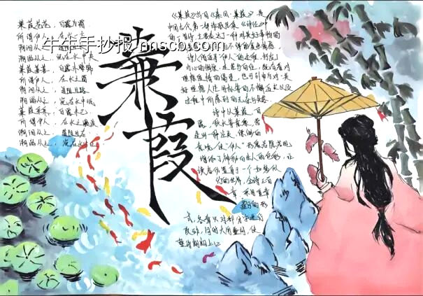 读书小报《蒹葭》主题手抄报-第1张