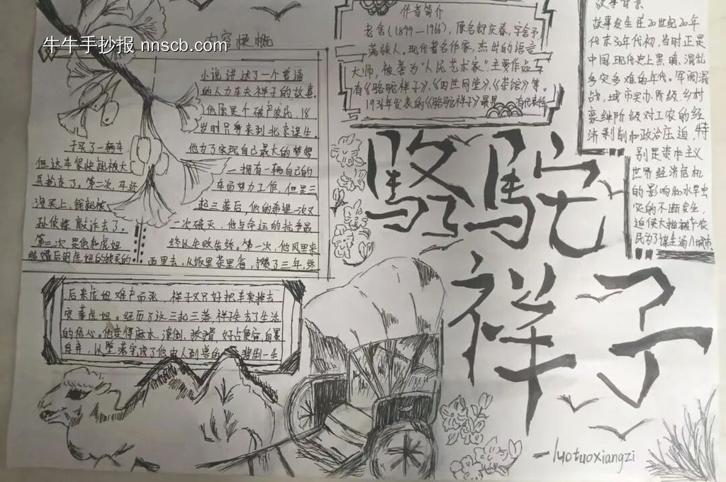《骆驼祥子》主题手抄报简单又好画3张-第3张
