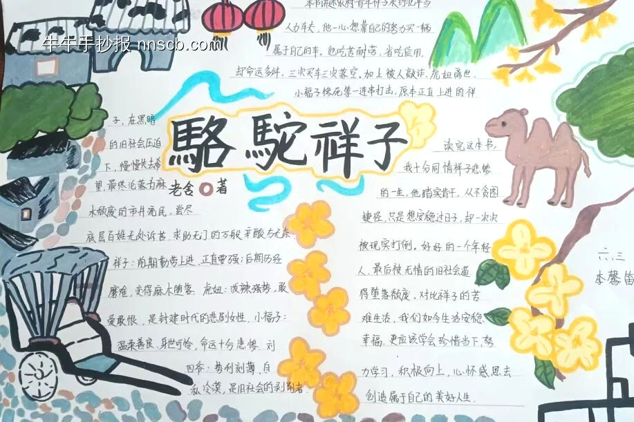 《骆驼祥子》主题手抄报简单又好画3张-第2张