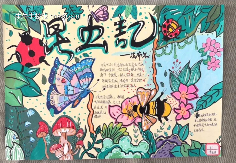 推荐1张超美《昆虫记》主题手抄报-第1张