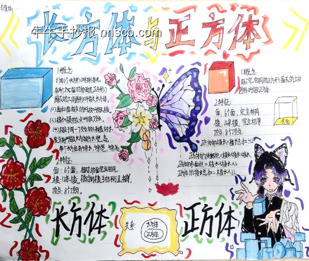 数学小报，长方体和正方体-第5张