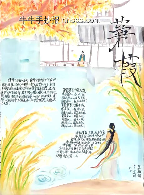 读书小报《蒹葭》主题手抄报-第3张