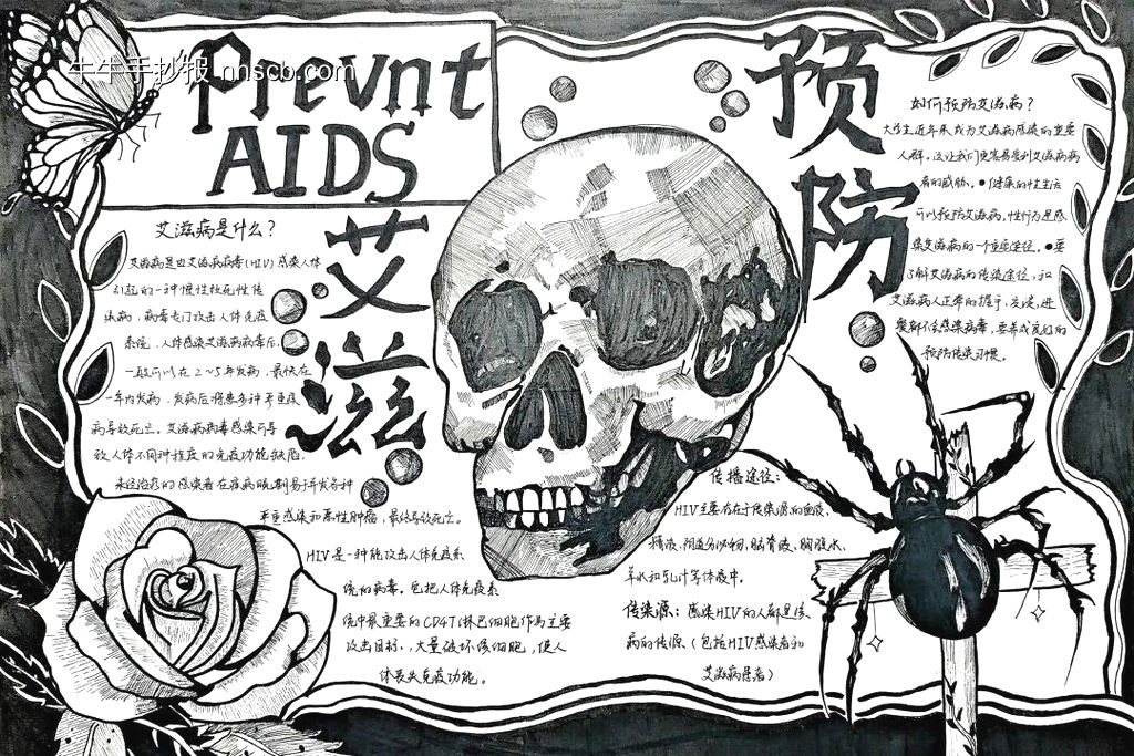 数学小报，长方体和正方体-第1张