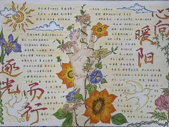 逆风而行，向阳生长