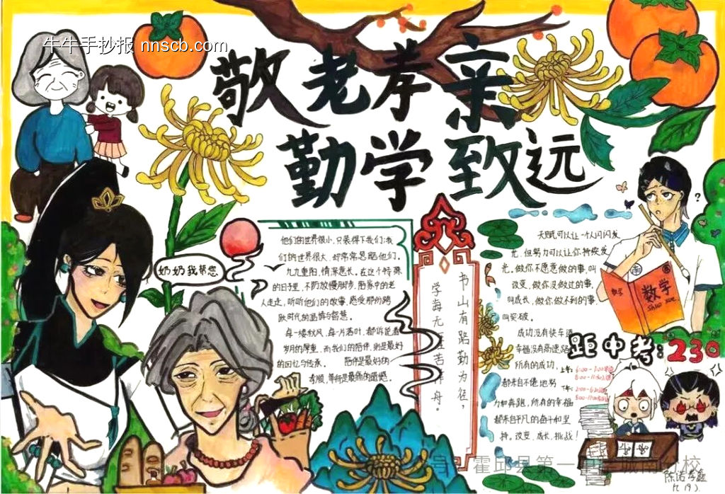 重阳节主题手抄报简单又好画10张-第2张